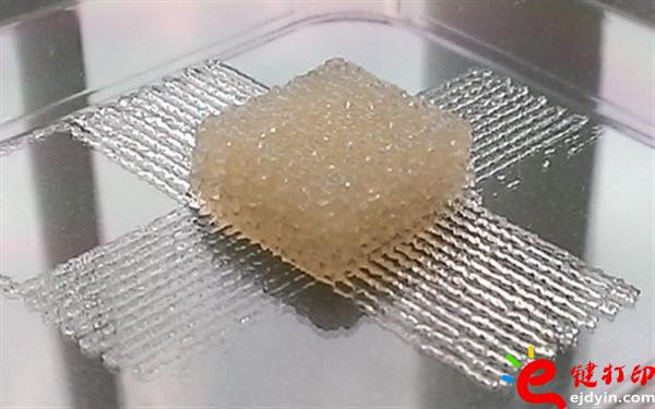 3d打印的材料有哪些,新型3d打印材料,3d打印材料价格,3d打印墨水,生物3D打印