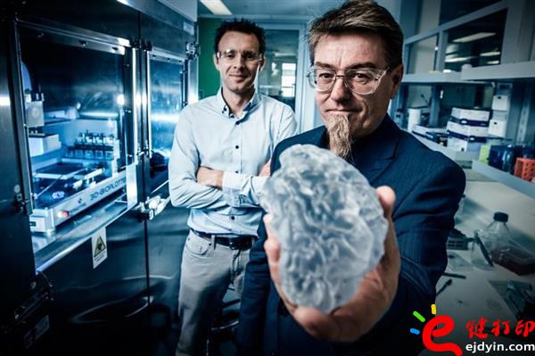 生物3d打印,生物3d打印技术,生物3d打印技术,生物3d打印材料,生物3d打印发展,3D打印心脏,3D打印服务