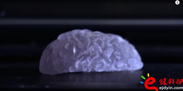 生物3d打印,生物3d打印技术,生物3d打印技术,生物3d打印材料,生物3d打印发展,3D打印心脏,3D打印服务